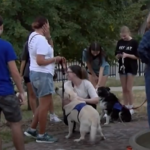 Four-legged stress relief: Jayhawk students receive support from pups