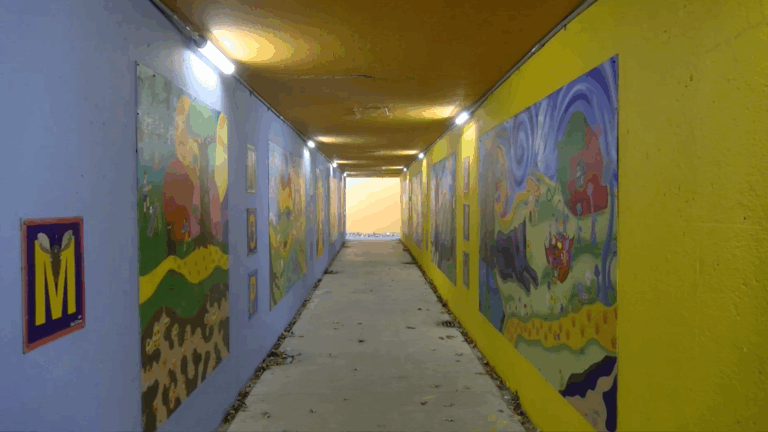 Murals bring color, creativity and community to Lawrence