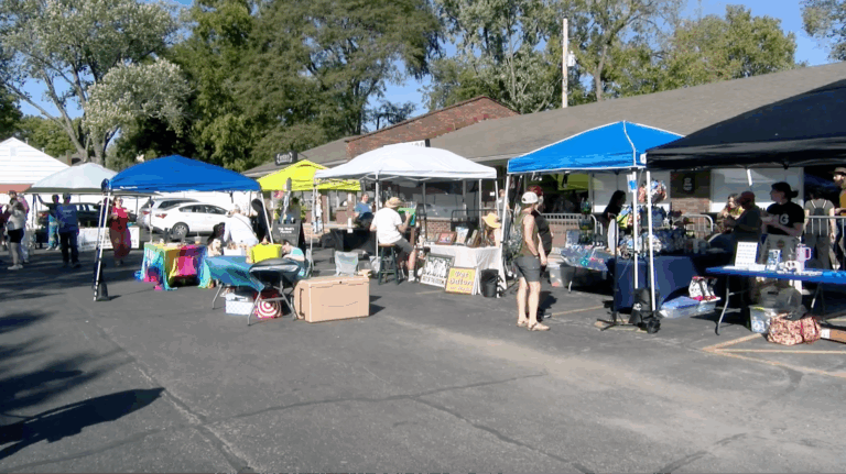 First-ever Petchella brings music, community and wagging tails to West Lawrence